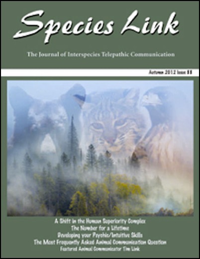 Species Link Journal Autumn 2012 cover